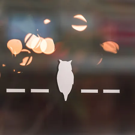 Wise Owl Hostels Kyoto-3